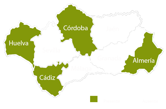 Andalucia copia