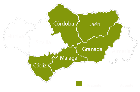 Andalucia copia