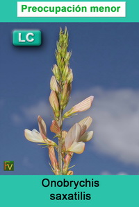 Onobrychis saxatilis