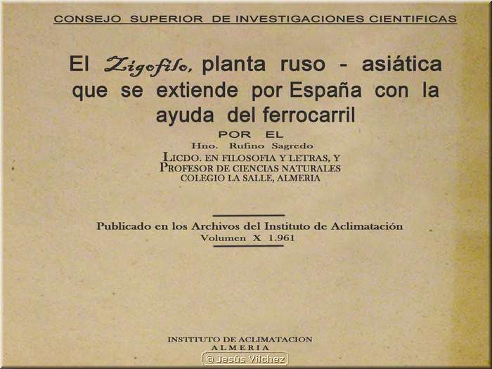 Estudio del Zigofilo