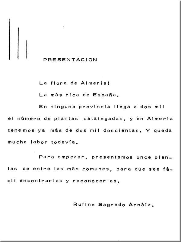 Presentacion Rufino
