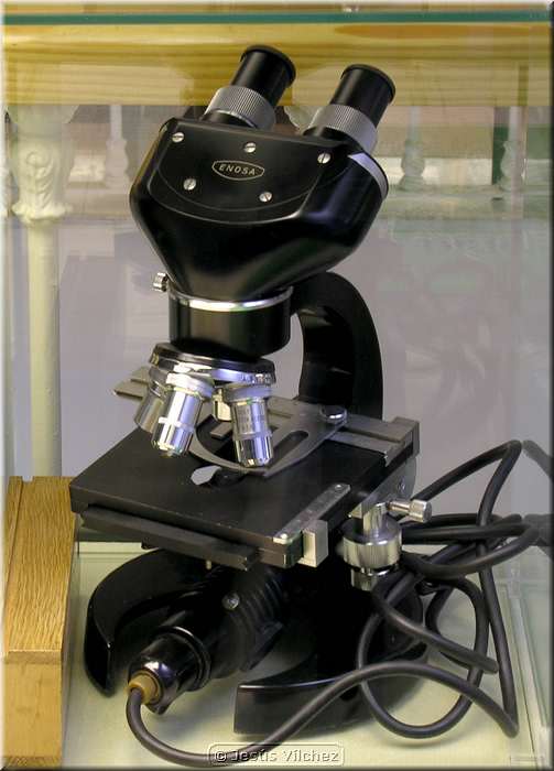 Microscopio binocular