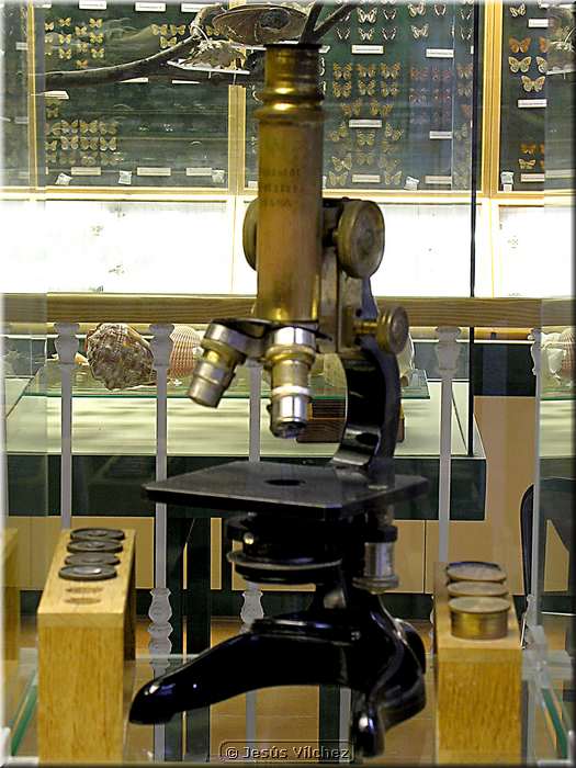 Microscopio monocular