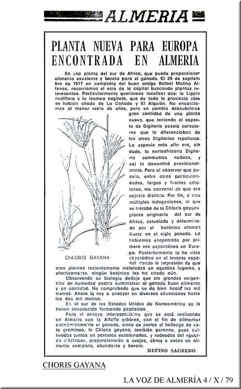 La_voz_de_almeria